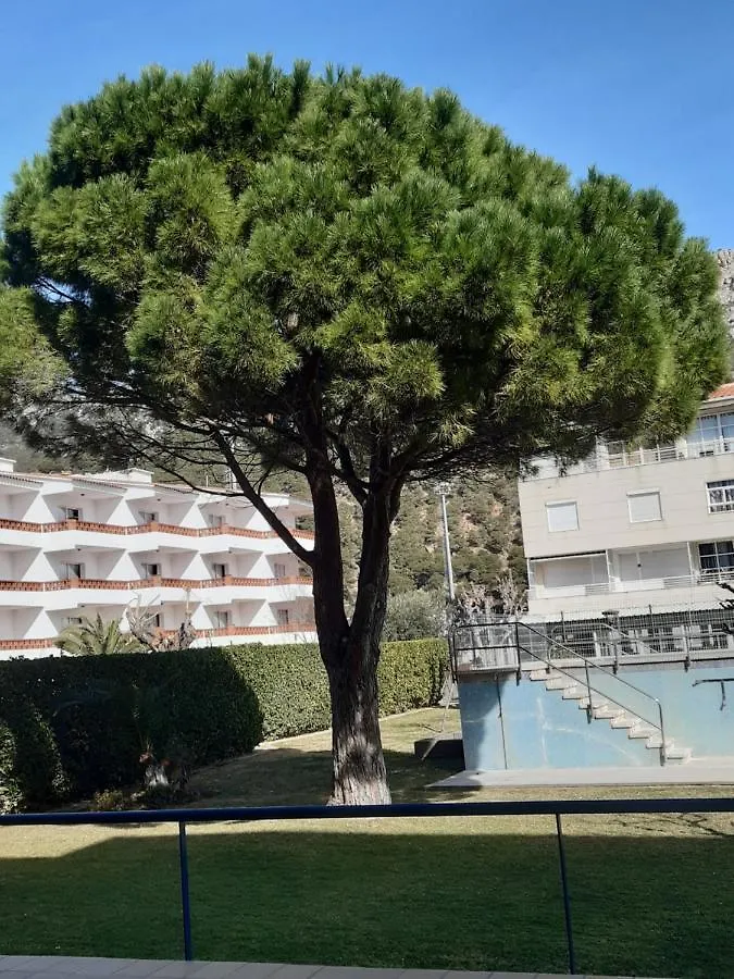 公寓 Apartaments Blau Park 埃斯塔蒂特 西班牙